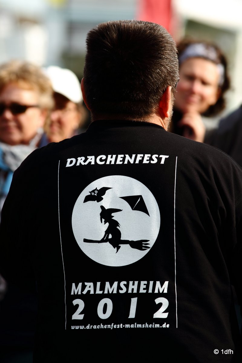 Drachenfest Malmsheim 12