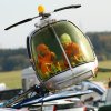Drachenfest Malmsheim 12