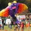 Drachenfest Malmsheim 12