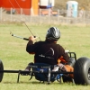 Drachenfest Malmsheim 12