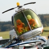 Drachenfest Malmsheim 12