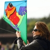 Drachenfest Malmsheim 12