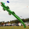 Drachenfest Malmsheim 12
