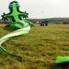 Drachenfest Malmsheim 12