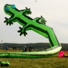 Drachenfest Malmsheim 12