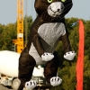 Drachenfest Malmsheim 12