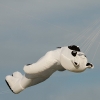 Drachenfest Malmsheim 12