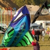 Drachenfest Malmsheim 12