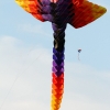 Drachenfest Malmsheim 12