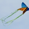 Drachenfest Malmsheim 12