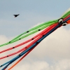 Drachenfest Malmsheim 12