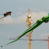Drachenfest Malmsheim 12