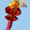 Drachenfest Malmsheim 12