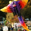Drachenfest Malmsheim 12
