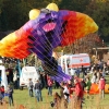 Drachenfest Malmsheim 12
