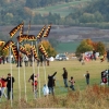 Drachenfest Malmsheim 12