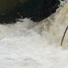 Echaz Hochwasser Pfullingen 02.06.2013