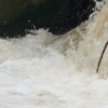 Echaz Hochwasser Pfullingen 02.06.2013