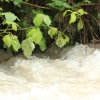 Echaz Hochwasser Pfullingen 02.06.2013