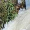 Echaz Hochwasser Pfullingen 02.06.2013