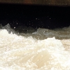 Echaz Hochwasser Pfullingen 02.06.2013