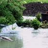 Echaz Hochwasser Pfullingen 02.06.2013