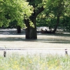 Echaz Hochwasser Pfullingen 02.06.2013