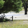 Echaz Hochwasser Pfullingen 02.06.2013