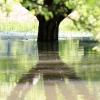 Echaz Hochwasser Pfullingen 02.06.2013