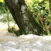 Echaz Hochwasser Pfullingen 02.06.2013