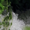 Echaz Hochwasser Pfullingen 02.06.2013
