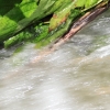 Echaz Hochwasser Pfullingen 02.06.2013
