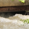 Echaz Hochwasser Pfullingen 02.06.2013