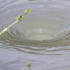 Echaz Hochwasser Pfullingen 02.06.2013