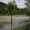 Echaz Hochwasser Pfullingen 02.06.2013