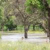 Echaz Hochwasser Pfullingen 02.06.2013