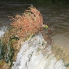 Echaz Hochwasser