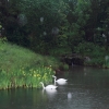 Echaz Hochwasser
