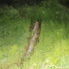 Echaz Hochwasser