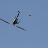 1dfh_8195