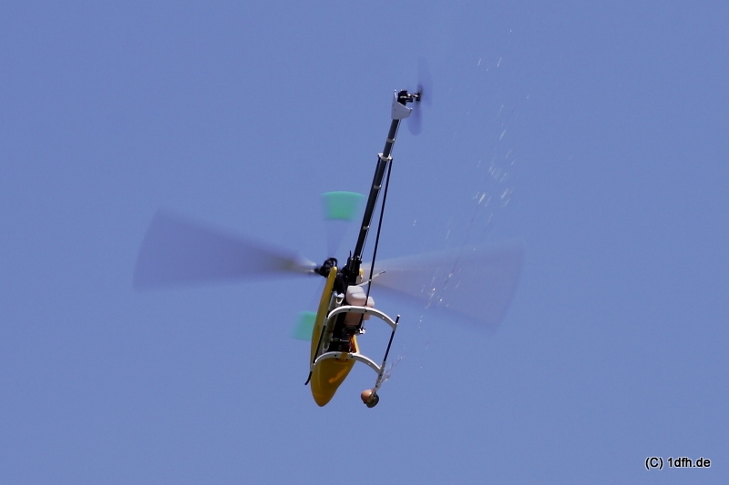 1dfh_8006