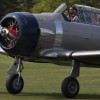1dfh-1mai-09-eisberg_0027