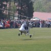 1dfh-1mai-09-eisberg_0079