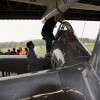 1dfh-1mai-09-eisberg_0220