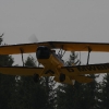 1dfh-1mai-09-eisberg_0068