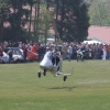 1dfh-1mai-09-eisberg_0080