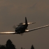 1dfh-1mai-09-eisberg_0211