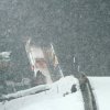 FIS Ski Jumping World Cup Oberstdorf