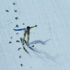 FIS Ski Jumping World Cup Oberstdorf