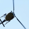 Fliegerfest Ammerbuch 14.09.2014,